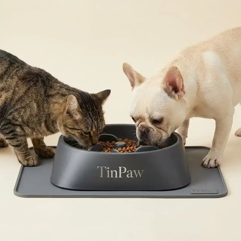 Slow Feeder Dog Bowl Ball - Slow Feeding Bowl - TinPaw