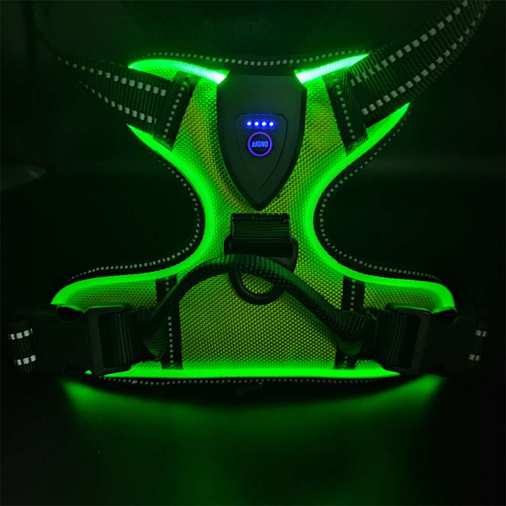 LED Dog Harness Leash USB - Dog Gear - TinPaw