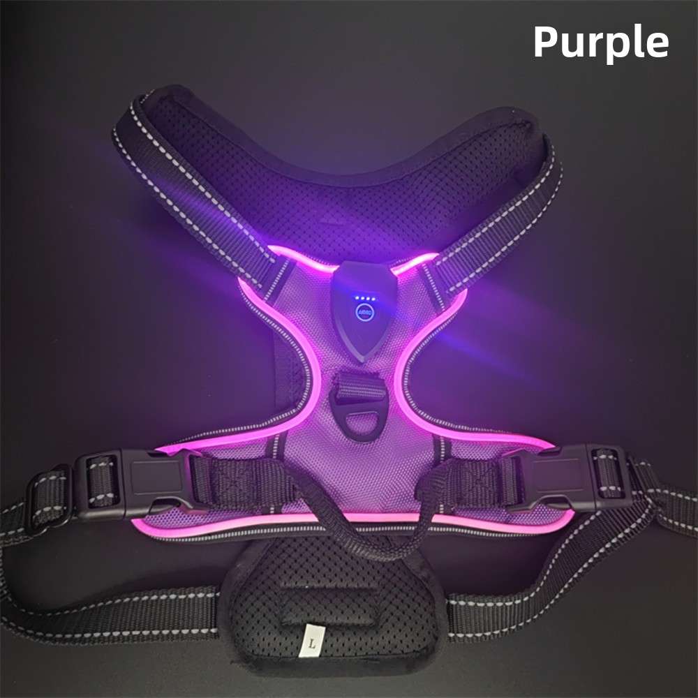 LED Dog Harness Leash USB - Dog Gear - TinPaw - Purple - XL - SU00159339 - Purple - XL