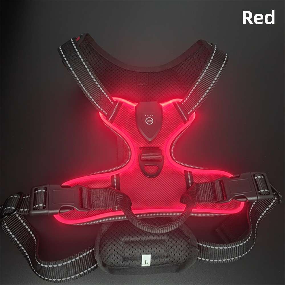 LED Dog Harness Leash USB - Dog Gear - TinPaw - Red - S - SU00159339 - Red - S