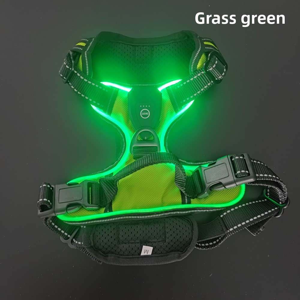 LED Dog Harness Leash USB - Dog Gear - TinPaw - Green - XL - SU00159339 - Green - XL