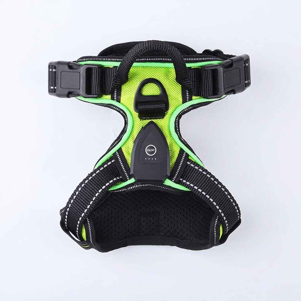 LED Dog Harness Leash USB - Dog Gear - TinPaw