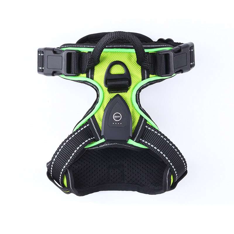 LED Dog Harness Leash USB - Dog Gear - TinPaw
