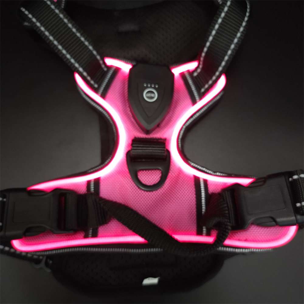 LED Dog Harness Leash USB - Dog Gear - TinPaw