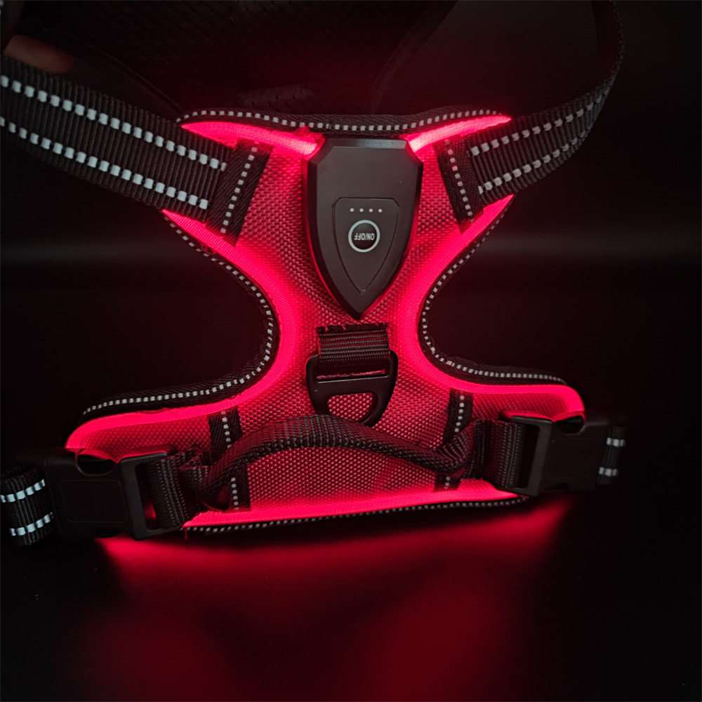 LED Dog Harness Leash USB - Dog Gear - TinPaw