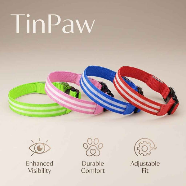 LED Light - Up Dog Collar - Dog Gear - TinPaw