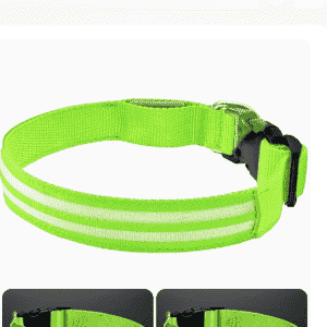LED Light - Up Dog Collar - Dog Gear - TinPaw - Fluorescent green multi - color light mode - M - SU00364509 - Fluorescent green multi - color light mode - M