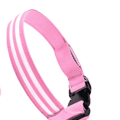 LED Light - Up Dog Collar - Dog Gear - TinPaw - Pink multi - color light mode - M - SU00364509 - Pink multi - color light mode - M