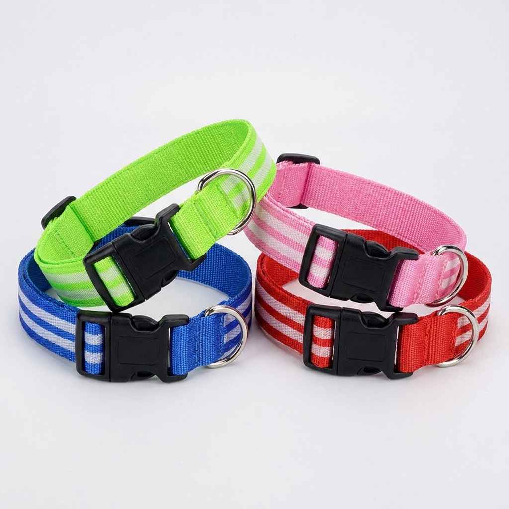 LED Light - Up Dog Collar - Dog Gear - TinPaw