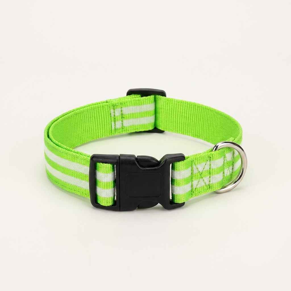LED Light - Up Dog Collar - Dog Gear - TinPaw