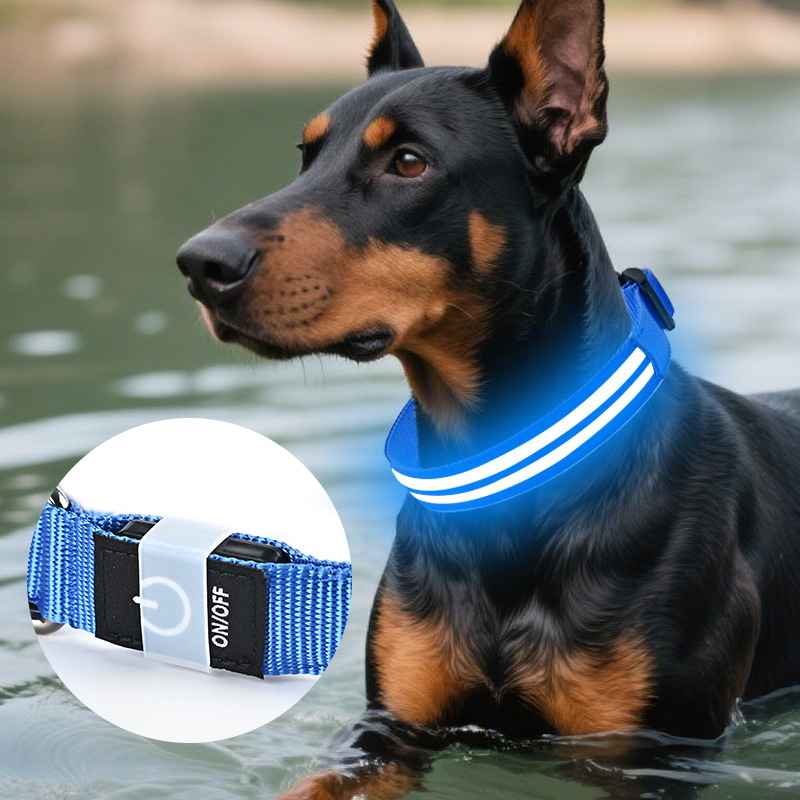LED Light - Up Dog Collar - Dog Gear - TinPaw