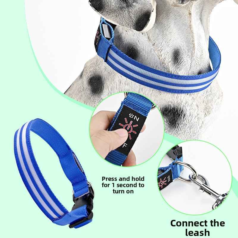 LED Light - Up Dog Collar - Dog Gear - TinPaw