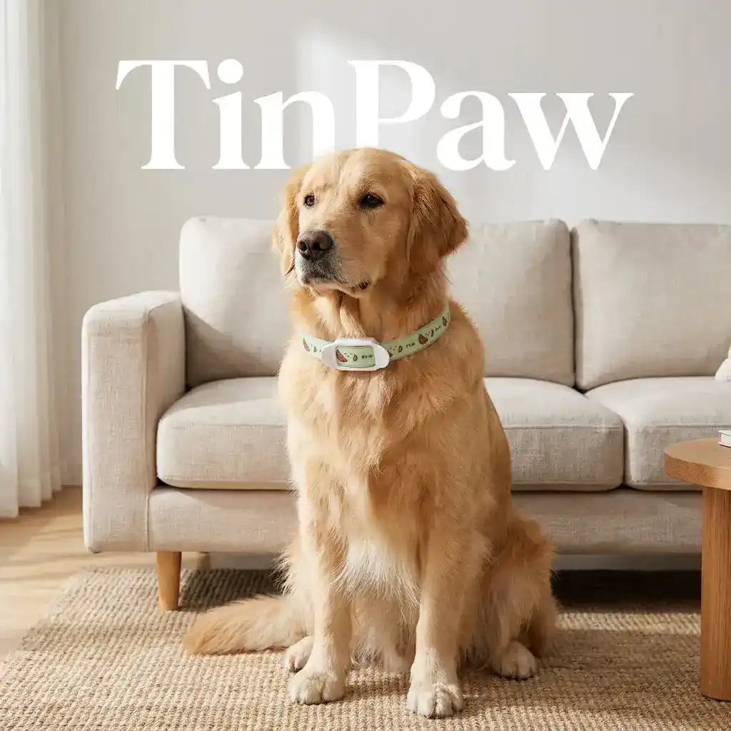 Flea Tick Collar Dogs Cats - Flea & Parasite Control - TinPaw