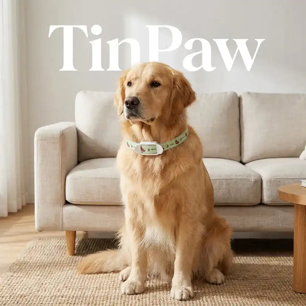 Flea Tick Collar Dogs Cats - Flea & Parasite Control - TinPaw