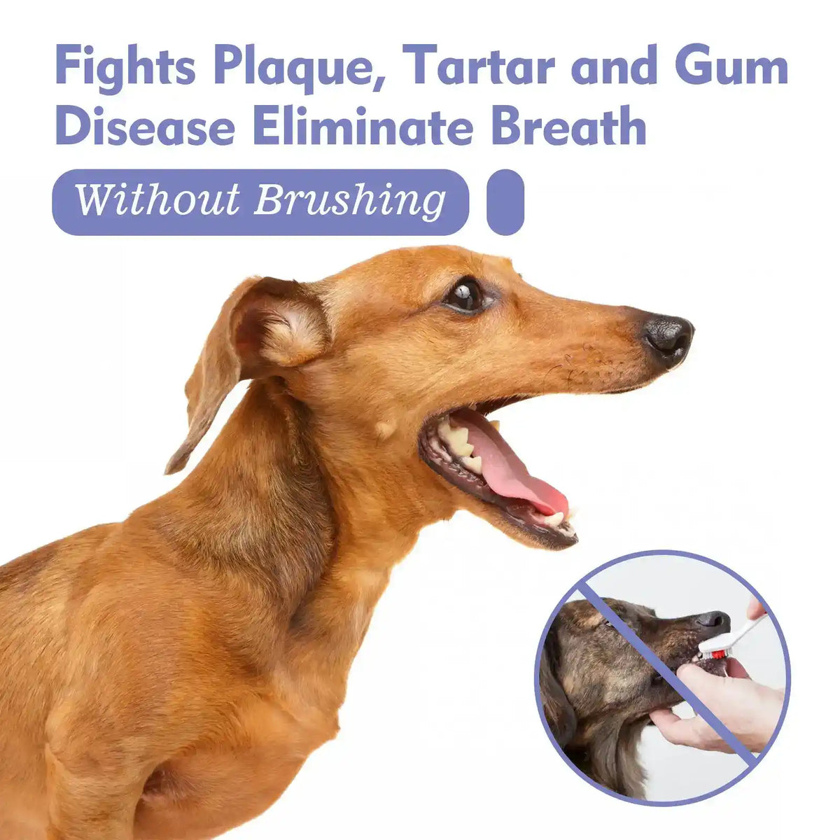 Pet Dental Fresh Breath Spray - Dog Health - TinPaw