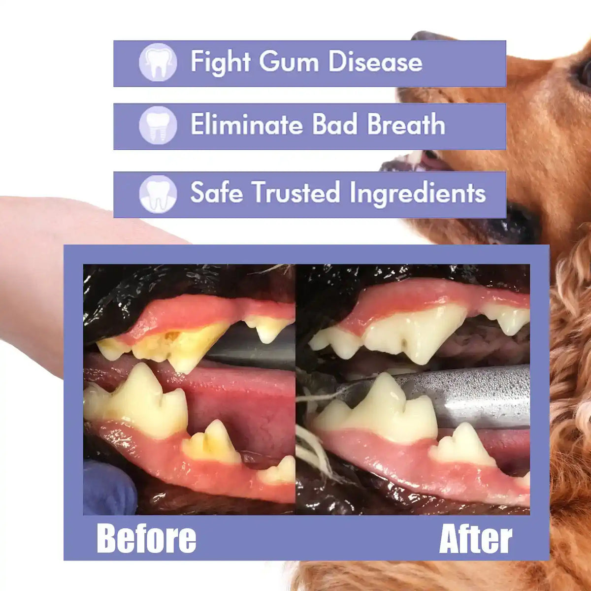 Pet Dental Fresh Breath Spray - Dog Health - TinPaw
