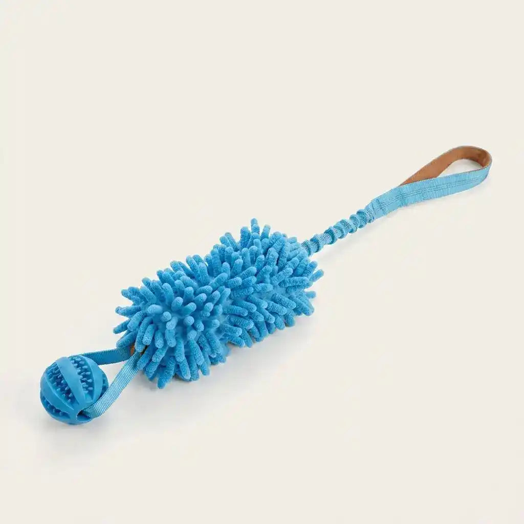 Interactive Dog Toothbrush Toy - Dog Toys - TinPaw