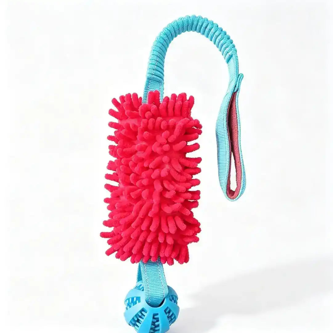 Interactive Dog Toothbrush Toy - Dog Toys - TinPaw