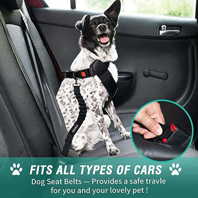 Reflective Dog Car Belt - Dog Gear - TinPaw