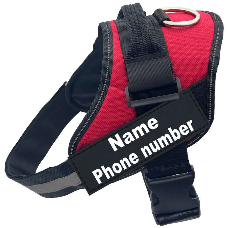 Reflective Dog Harness Leash - Dog Gear - TinPaw