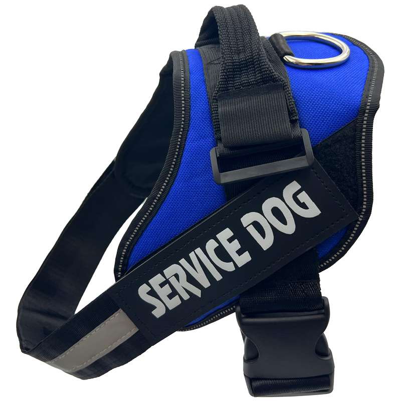Reflective Dog Harness Leash - Dog Gear - TinPaw