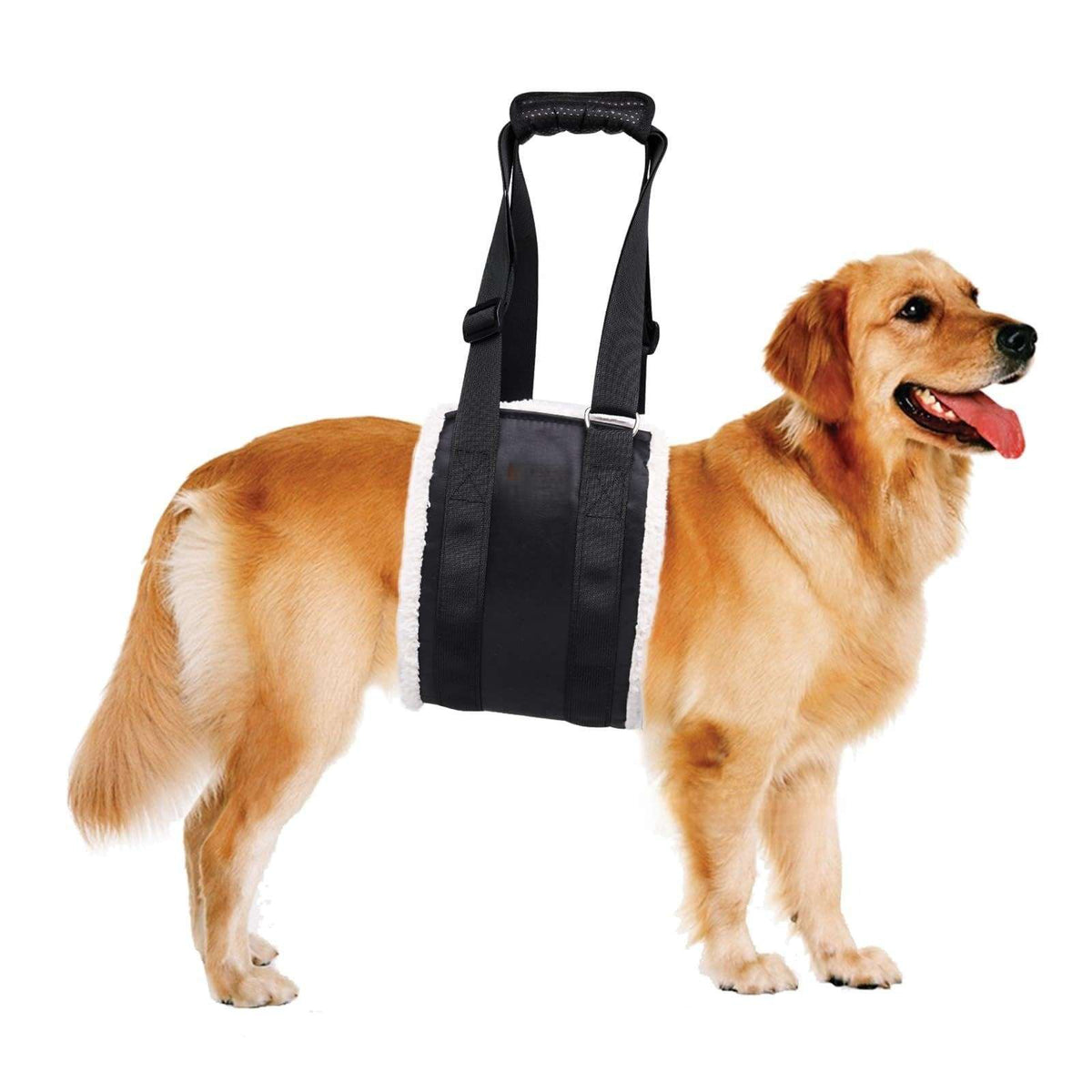 Reflective Dog Recovery Harness - Dog Gear - TinPaw - Black regular style - Xl length 78cm width 24cm - SU00353450 - Black regular style - Xl length 78cm width 24cm