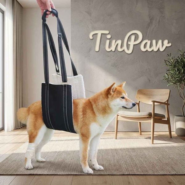 Reflective Dog Recovery Harness - Dog Gear - TinPaw