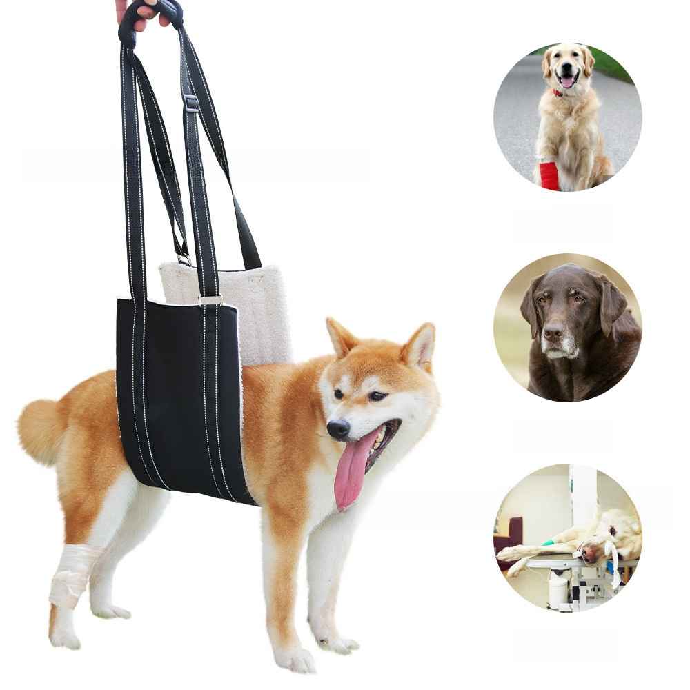 Reflective Dog Recovery Harness - Dog Gear - TinPaw