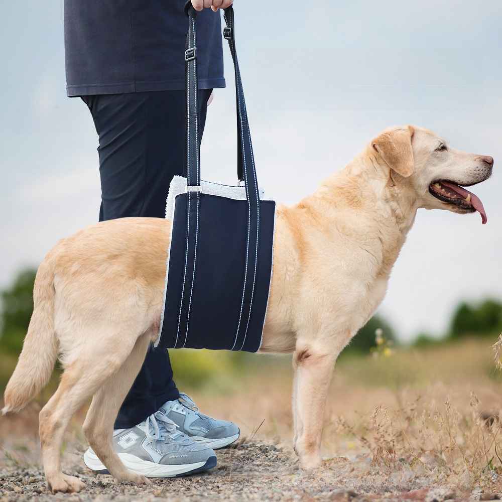 Reflective Dog Recovery Harness - Dog Gear - TinPaw
