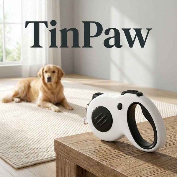 Retractable Dog Leash LED - Dog Gear - TinPaw