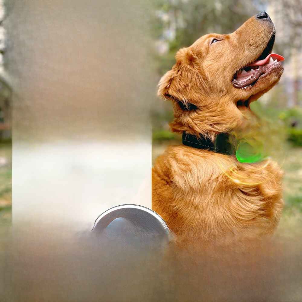 Silicone Flea Tick Collar - Collars - TinPaw