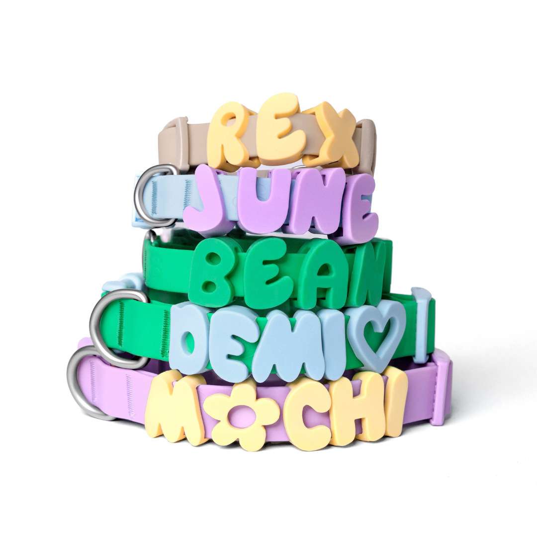 Silicone Dog Collar Charms - Dog Gear - TinPaw