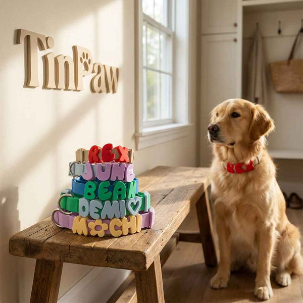 Silicone Dog Collar Charms - Dog Gear - TinPaw