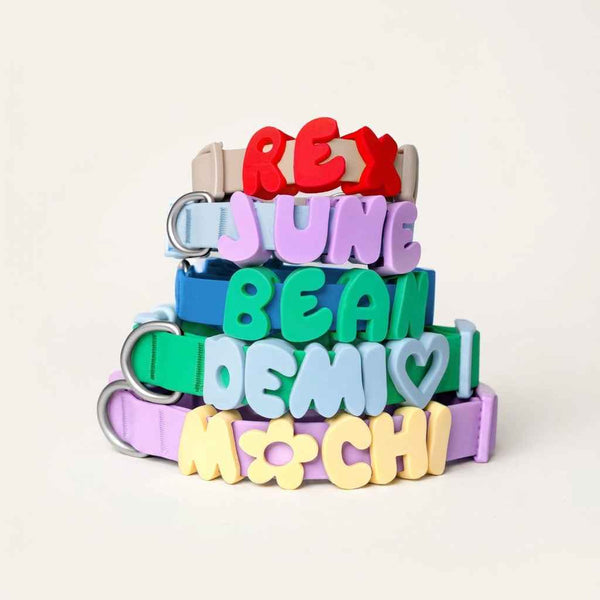 Silicone Dog Collar Charms - Dog Gear - TinPaw