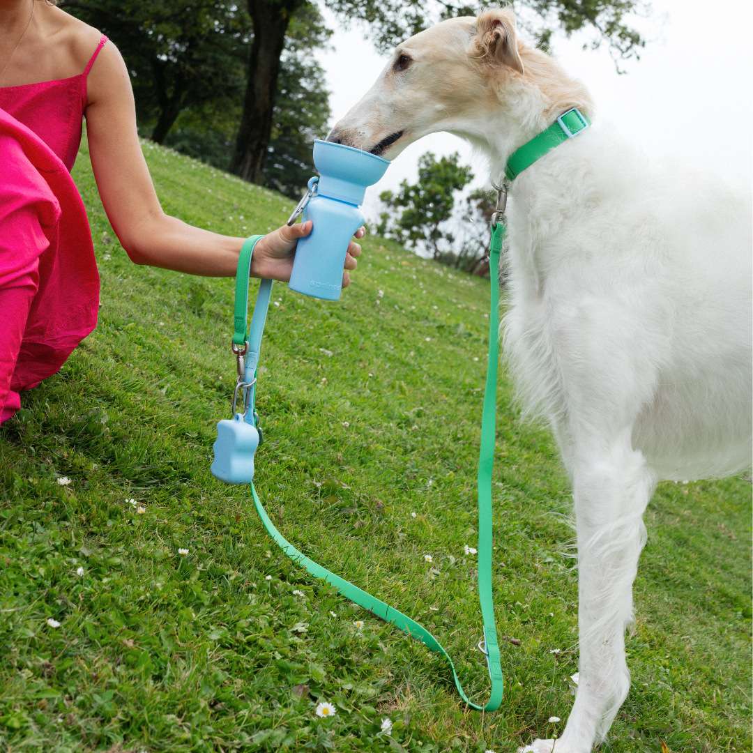 Silicone Dog Collar Charms - Dog Gear - TinPaw