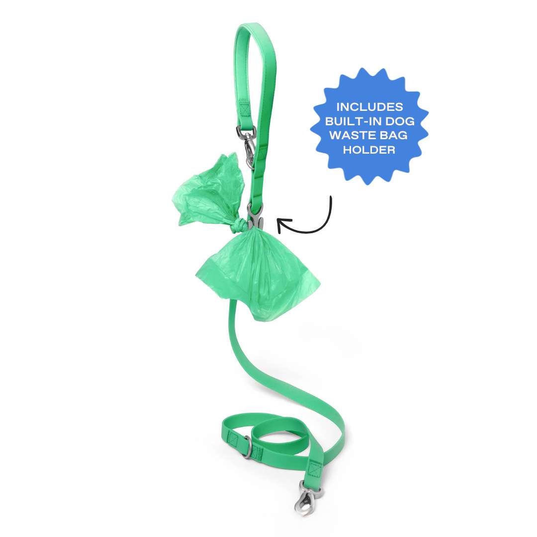 Silicone Dog Collar Charms - Dog Gear - TinPaw