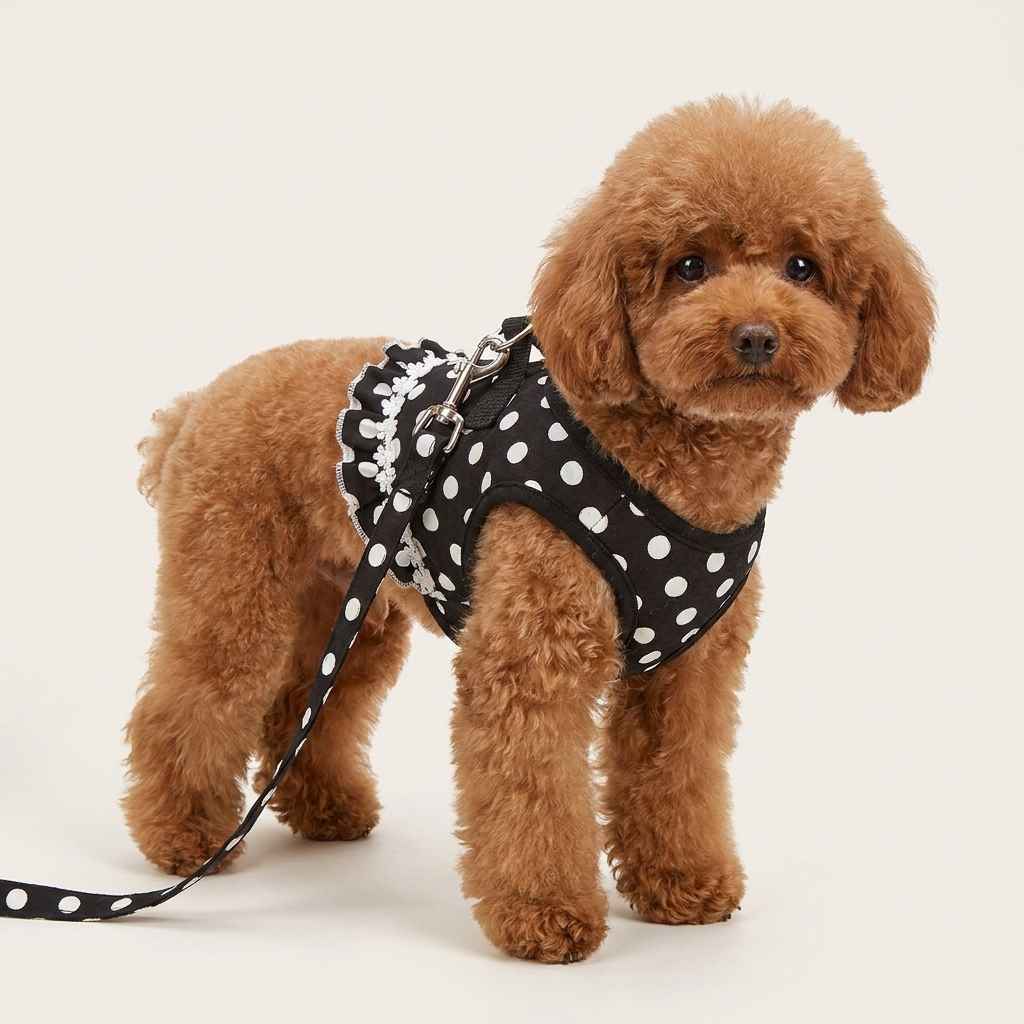 Small Dog Vest Harness Set - Dog Gear - TinPaw