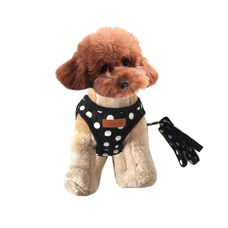 Small Dog Vest Harness Set - Dog Gear - TinPaw