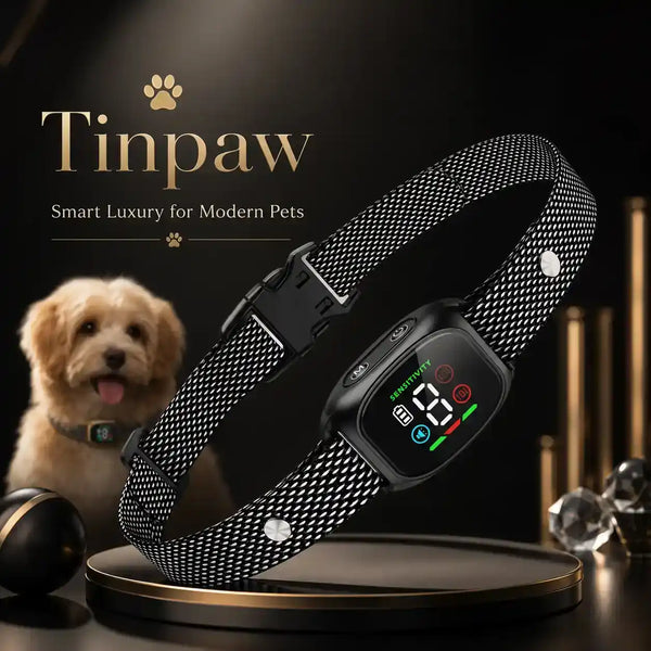 Black woven anti-bark dog collar with vibration/static control display
