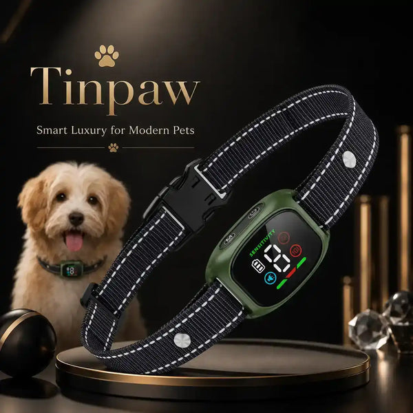 Black woven anti-bark dog collar with white stitching and control display