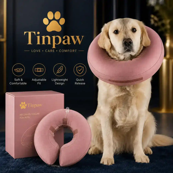Inflatable Pet Recovery Collar - Collars - TinPaw - Pink - XL - SU00354140 - Pink - XL