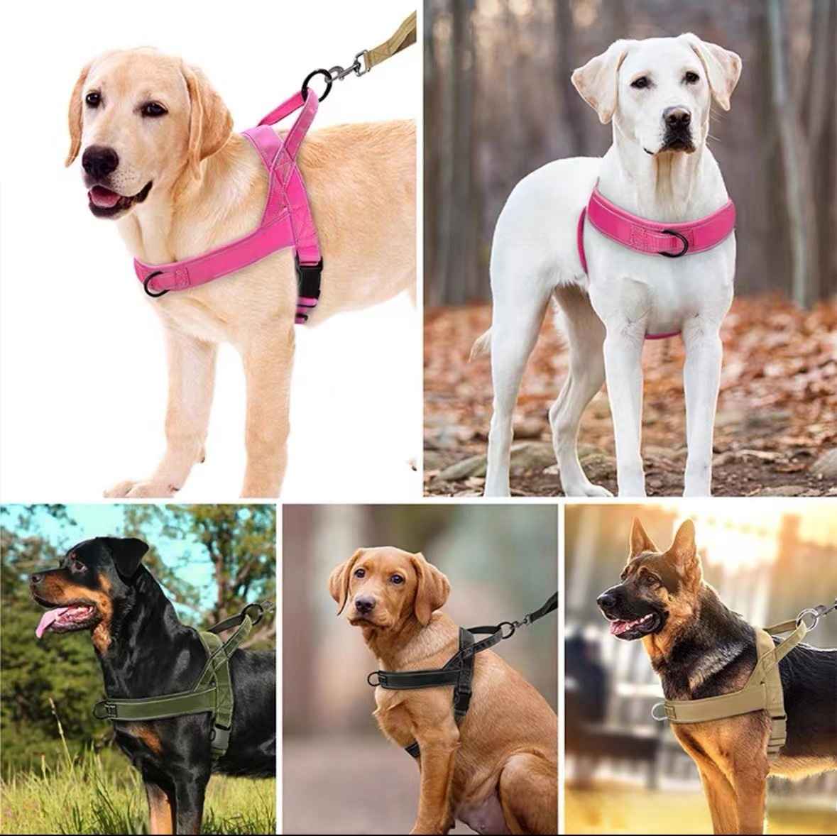 Tactical Dog Harness Leash - Dog Gear - TinPaw