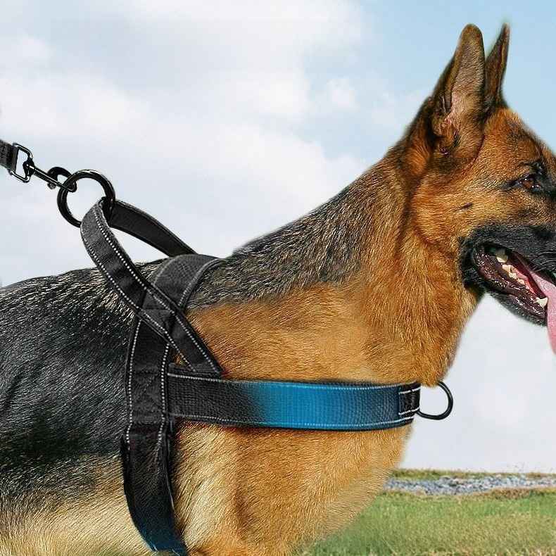 Tactical Dog Harness Leash - Dog Gear - TinPaw
