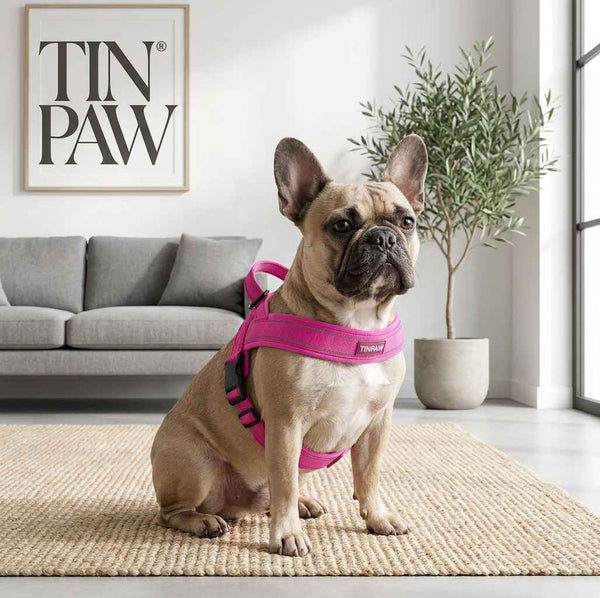 Tactical Dog Harness Leash - Dog Gear - TinPaw
