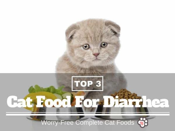 42 HQ Images Bland Cat Food For Diarrhea : Nature's Variety Instinct Grain-Free Beef Formula Canned ...