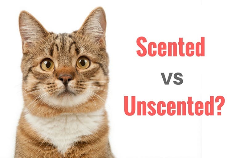 Should You Go For Scented Or Unscented