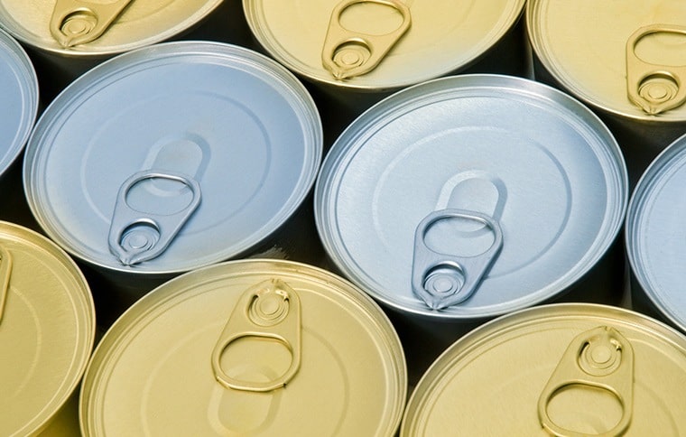 canned food for kittens