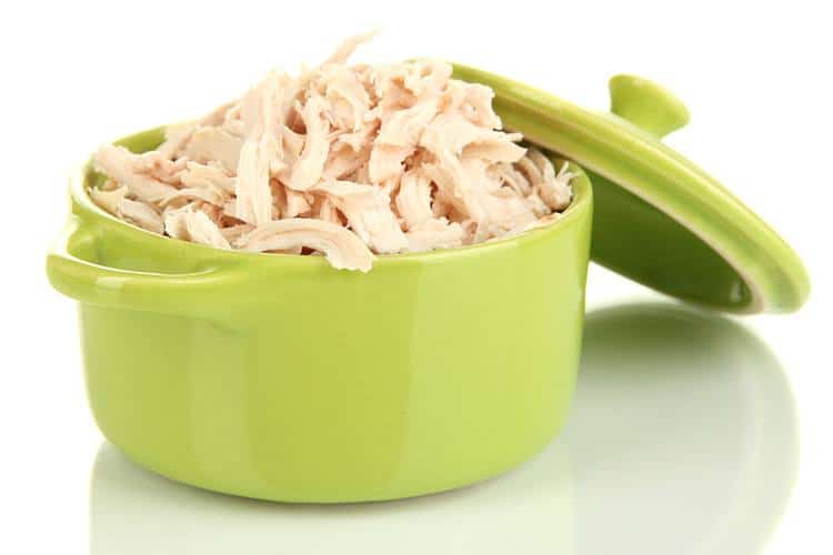 feed boiled chicken to your kitten