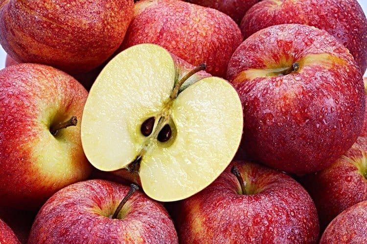 apple seeds tinpaw