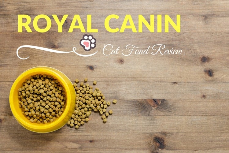 34 HQ Images Royal Canin Cat Food Reviews - Royal Canin Pug Puppy Food Review Is It Really The Best